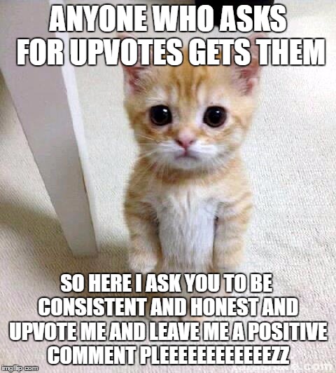 Cute Cat | ANYONE WHO ASKS FOR UPVOTES GETS THEM; SO HERE I ASK YOU TO BE CONSISTENT AND HONEST AND UPVOTE ME AND LEAVE ME A POSITIVE COMMENT PLEEEEEEEEEEEEZZ | image tagged in memes,cute cat | made w/ Imgflip meme maker