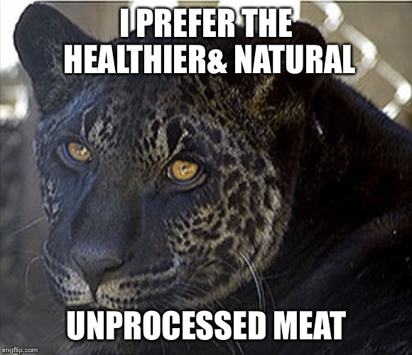 DARK JAGLION I | I PREFER THE HEALTHIER& NATURAL UNPROCESSED MEAT | image tagged in dark jaglion i | made w/ Imgflip meme maker
