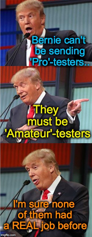 Bad Pun Trump | Bernie can't be sending 'Pro'-testers.. They must be 'Amateur'-testers; I'm sure none of them had a REAL job before | image tagged in bad pun trump | made w/ Imgflip meme maker