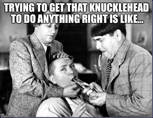 TRYING TO GET THAT KNUCKLEHEAD TO DO ANYTHING RIGHT IS LIKE... | made w/ Imgflip meme maker