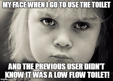 Seriously, Co-workers. Sometimes you need to flush twice. | MY FACE WHEN I GO TO USE THE TOILET; AND THE PREVIOUS USER DIDN'T KNOW IT WAS A LOW FLOW TOILET! | image tagged in pout | made w/ Imgflip meme maker