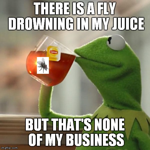 But That's None Of My Business | THERE IS A FLY DROWNING IN MY JUICE; BUT THAT'S NONE OF MY BUSINESS | image tagged in memes,but thats none of my business,kermit the frog | made w/ Imgflip meme maker