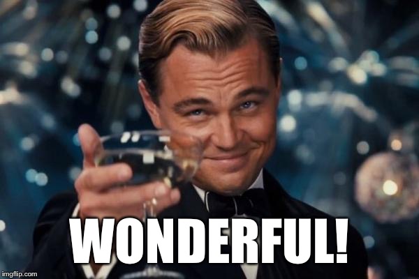 Leonardo Dicaprio Cheers Meme | WONDERFUL! | image tagged in memes,leonardo dicaprio cheers | made w/ Imgflip meme maker