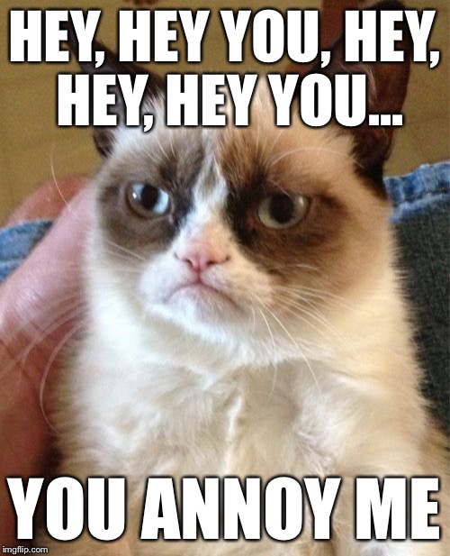 Grumpy Cat Meme | HEY, HEY YOU, HEY, HEY, HEY YOU... YOU ANNOY ME | image tagged in memes,grumpy cat | made w/ Imgflip meme maker