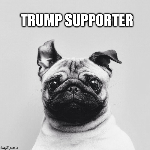 TRUMP SUPPORTER DOG | TRUMP SUPPORTER | image tagged in trump,supporter,dog,politics,humor,republican | made w/ Imgflip meme maker