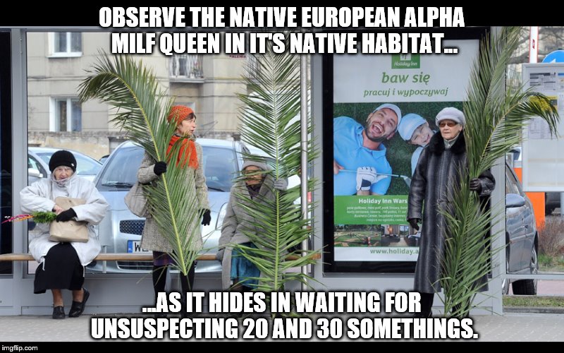 Can you see them? | OBSERVE THE NATIVE EUROPEAN ALPHA MILF QUEEN IN IT'S NATIVE HABITAT... ...AS IT HIDES IN WAITING FOR UNSUSPECTING 20 AND 30 SOMETHINGS. | image tagged in alpha milfqueens,milf,easter,palm | made w/ Imgflip meme maker