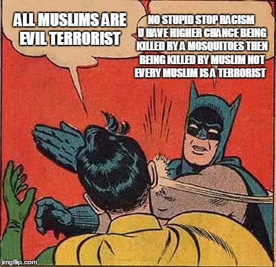 Batman Slapping Robin | NO STUPID STOP RACISM U HAVE HIGHER CHANCE BEING KILLED BY A MOSQUITOES THEN BEING KILLED BY MUSLIM NOT EVERY MUSLIM IS A TERRORIST; ALL MUSLIMS ARE EVIL TERRORIST | image tagged in memes,batman slapping robin | made w/ Imgflip meme maker