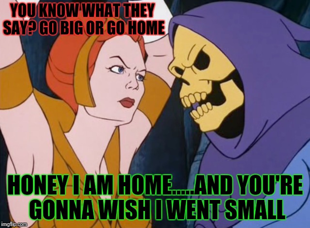 Go big or go to my sex dungeon | YOU KNOW WHAT THEY SAY? GO BIG OR GO HOME; HONEY I AM HOME.....AND YOU'RE GONNA WISH I WENT SMALL | image tagged in skeletor,memes,funny,men vs women | made w/ Imgflip meme maker