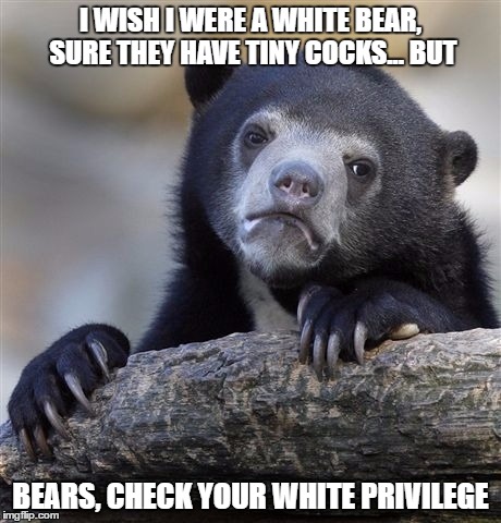White "bear" Privilege  | I WISH I WERE A WHITE BEAR, SURE THEY HAVE TINY COCKS... BUT; BEARS, CHECK YOUR WHITE PRIVILEGE | image tagged in memes,confession bear,funny,weird,bear,black bears | made w/ Imgflip meme maker