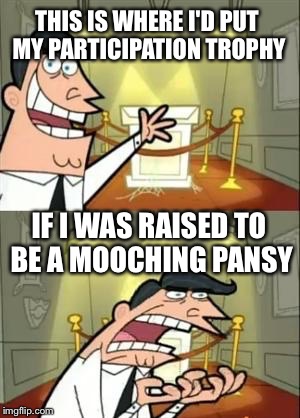 THIS IS WHERE I'D PUT MY PARTICIPATION TROPHY IF I WAS RAISED TO BE A MOOCHING PANSY | made w/ Imgflip meme maker
