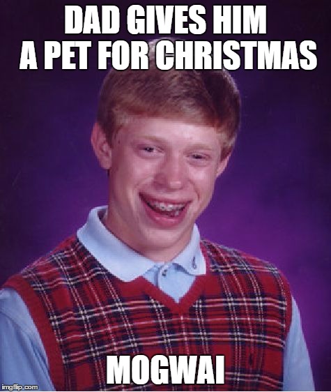 And No....Not the Scottish Post-Rock Band from the '90's | DAD GIVES HIM A PET FOR CHRISTMAS; MOGWAI | image tagged in memes,bad luck brian | made w/ Imgflip meme maker