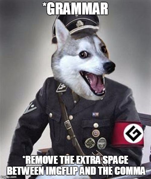 *GRAMMAR *REMOVE THE EXTRA SPACE BETWEEN IMGFLIP AND THE COMMA | made w/ Imgflip meme maker