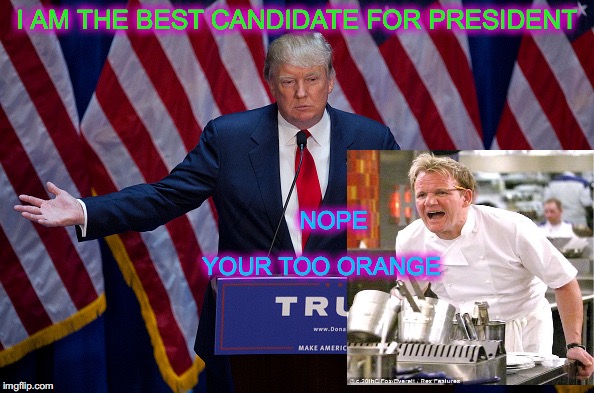 Donald Trump | I AM THE BEST CANDIDATE FOR PRESIDENT; NOPE; YOUR TOO ORANGE | image tagged in donald trump | made w/ Imgflip meme maker