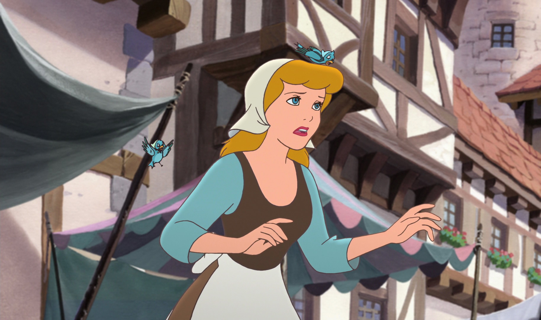 Cinderella with Birds Blank Meme Template