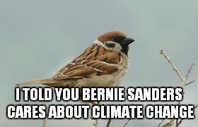 I TOLD YOU BERNIE SANDERS CARES ABOUT CLIMATE CHANGE | image tagged in feel the bern | made w/ Imgflip meme maker