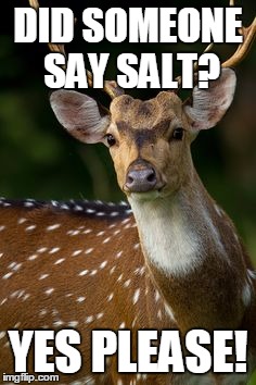 DID SOMEONE SAY SALT? YES PLEASE! | made w/ Imgflip meme maker