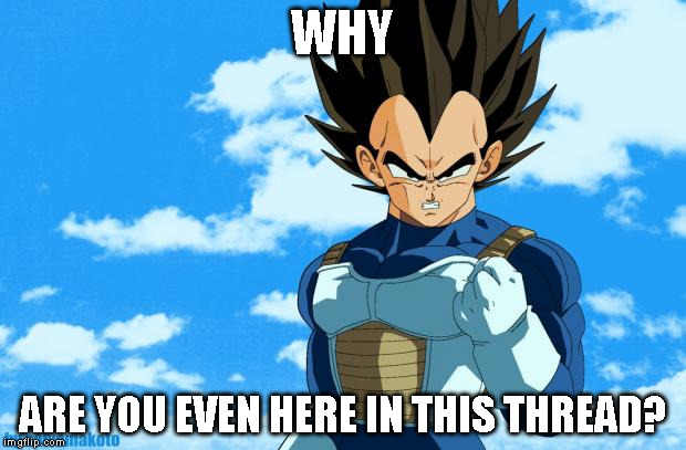 success vegeta | WHY; ARE YOU EVEN HERE IN THIS THREAD? | image tagged in success vegeta | made w/ Imgflip meme maker