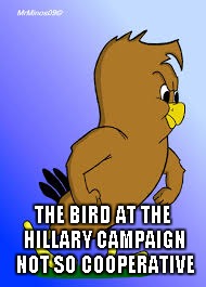 THE BIRD AT THE HILLARY CAMPAIGN NOT SO COOPERATIVE | image tagged in bernie sanders | made w/ Imgflip meme maker