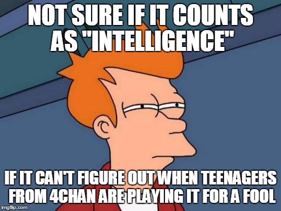 Futurama Fry Meme | NOT SURE IF IT COUNTS AS "INTELLIGENCE" IF IT CAN'T FIGURE OUT WHEN TEENAGERS FROM 4CHAN ARE PLAYING IT FOR A FOOL | image tagged in memes,futurama fry | made w/ Imgflip meme maker