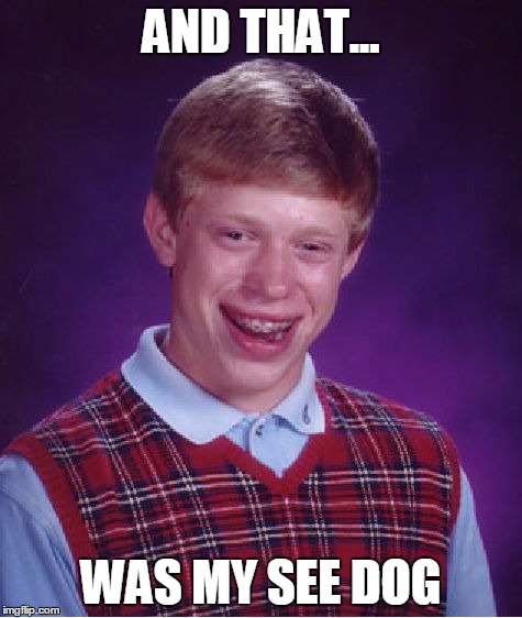 Bad Luck Brian Meme | AND THAT... WAS MY SEE DOG | image tagged in memes,bad luck brian | made w/ Imgflip meme maker