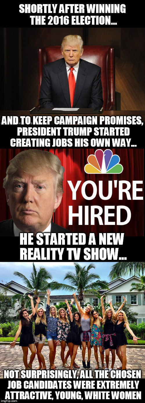 You're Hired | SHORTLY AFTER WINNING THE 2016 ELECTION... AND TO KEEP CAMPAIGN PROMISES, PRESIDENT TRUMP STARTED CREATING JOBS HIS OWN WAY... HE STARTED A NEW REALITY TV SHOW... NOT SURPRISINGLY, ALL THE CHOSEN JOB CANDIDATES WERE EXTREMELY ATTRACTIVE, YOUNG, WHITE WOMEN | image tagged in donald trump | made w/ Imgflip meme maker