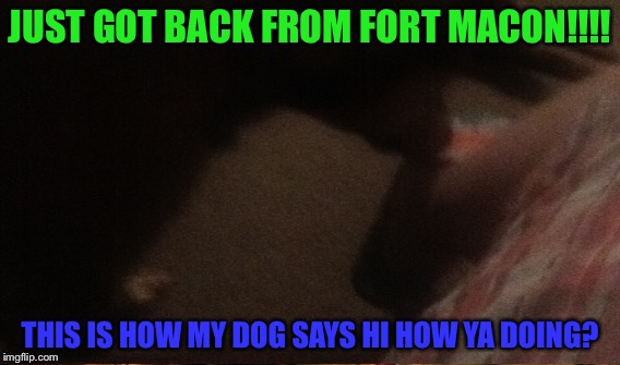 Just got back from fort Macon!!!! | JUST GOT BACK FROM FORT MACON!!!! THIS IS HOW MY DOG SAYS HI HOW YA DOING? | image tagged in hello | made w/ Imgflip meme maker