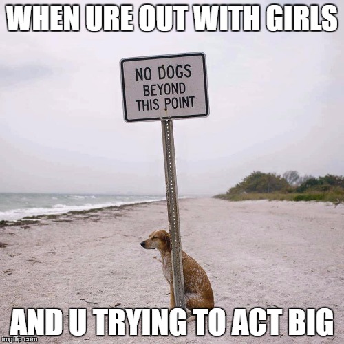 Fight the Power No Dogs | WHEN URE OUT WITH GIRLS; AND U TRYING TO ACT BIG | image tagged in fight the power no dogs | made w/ Imgflip meme maker