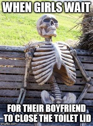 Waiting Skeleton Meme | WHEN GIRLS WAIT; FOR THEIR BOYFRIEND TO CLOSE THE TOILET LID | image tagged in memes,waiting skeleton | made w/ Imgflip meme maker