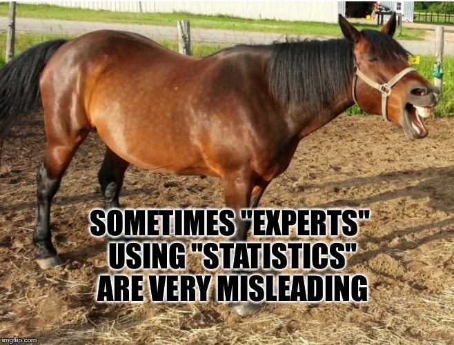 LAUGHING HORSE | SOMETIMES "EXPERTS" USING "STATISTICS" ARE VERY MISLEADING | image tagged in laughing horse | made w/ Imgflip meme maker