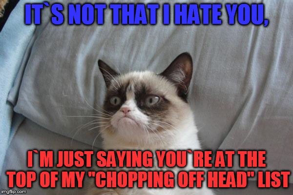 Grumpy Cat Bed Meme |  IT`S NOT THAT I HATE YOU, I`M JUST SAYING YOU`RE AT THE TOP OF MY "CHOPPING OFF HEAD" LIST | image tagged in memes,grumpy cat bed,grumpy cat | made w/ Imgflip meme maker