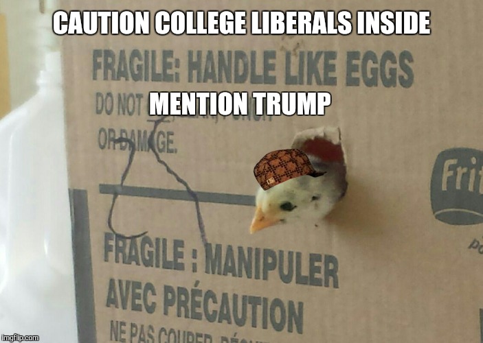 Do not violate their "Safe Space" or they will break. | CAUTION COLLEGE LIBERALS INSIDE; MENTION TRUMP | image tagged in college liberal,safe space,donald trump,trump,election 2016 | made w/ Imgflip meme maker