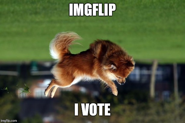 IMGFLIP I VOTE | made w/ Imgflip meme maker