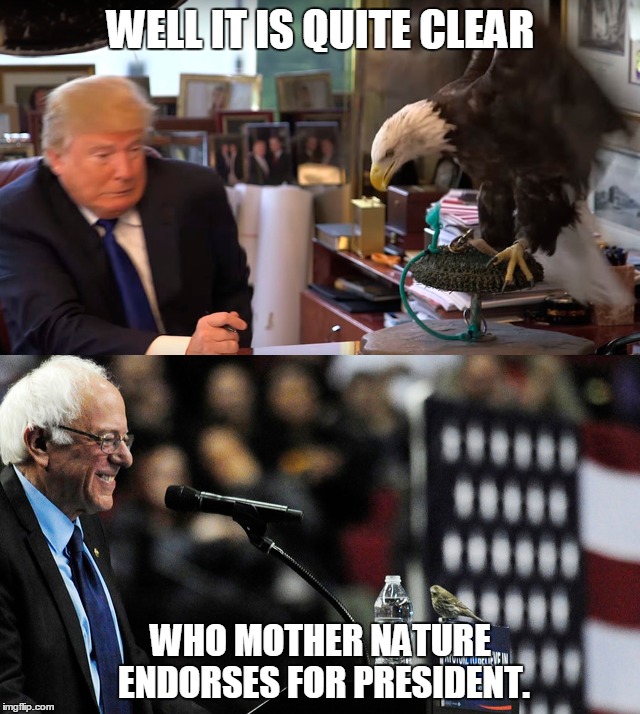 Mother Nature Would Like To Give It's Opinion... | WELL IT IS QUITE CLEAR; WHO MOTHER NATURE ENDORSES FOR PRESIDENT. | image tagged in memes,animals,birds,donald trump,bernie sanders,election 2016 | made w/ Imgflip meme maker