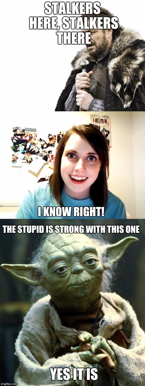 This is  my first meme-ception | STALKERS HERE, STALKERS THERE; I KNOW RIGHT! THE STUPID IS STRONG WITH THIS ONE; YES IT IS | image tagged in stalkers,force | made w/ Imgflip meme maker