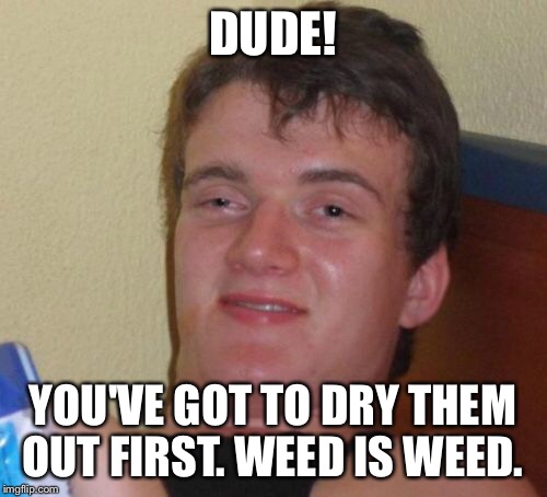 10 Guy Meme | DUDE! YOU'VE GOT TO DRY THEM OUT FIRST. WEED IS WEED. | image tagged in memes,10 guy | made w/ Imgflip meme maker