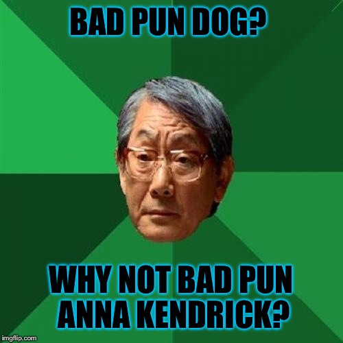 Sorry bad pun dog... | BAD PUN DOG? WHY NOT BAD PUN ANNA KENDRICK? | image tagged in memes,high expectations asian father | made w/ Imgflip meme maker