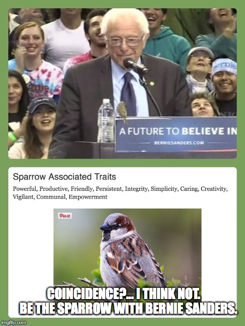 COINCIDENCE?... I THINK NOT.    BE THE SPARROW WITH BERNIE SANDERS. | image tagged in bernie sanders is the sparrow | made w/ Imgflip meme maker