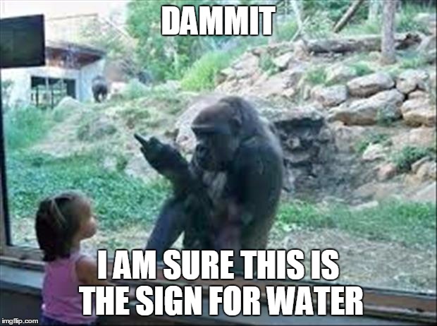 Problems in early language development | DAMMIT; I AM SURE THIS IS THE SIGN FOR WATER | image tagged in bad monkey,communication breakdown | made w/ Imgflip meme maker