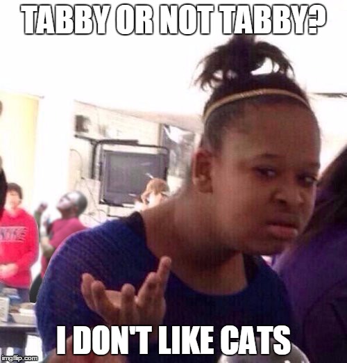 Home of the Panthers | TABBY OR NOT TABBY? I DON'T LIKE CATS | image tagged in memes,black girl wat,kordell deboer | made w/ Imgflip meme maker