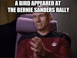 Wow...a BIRD?? THAT'S AMAZING!! | A BIRD APPEARED AT THE BERNIE SANDERS RALLY | image tagged in memes,picard | made w/ Imgflip meme maker