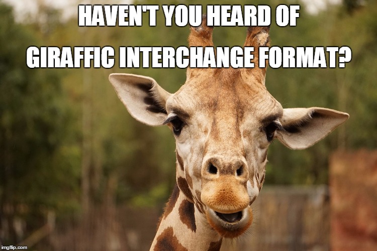 gif | HAVEN'T YOU HEARD OF; GIRAFFIC
INTERCHANGE FORMAT? | image tagged in gif,giraffe | made w/ Imgflip meme maker