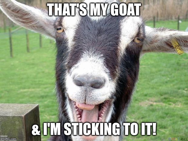 Funny Goat | THAT'S MY GOAT; & I'M STICKING TO IT! | image tagged in funny goat | made w/ Imgflip meme maker