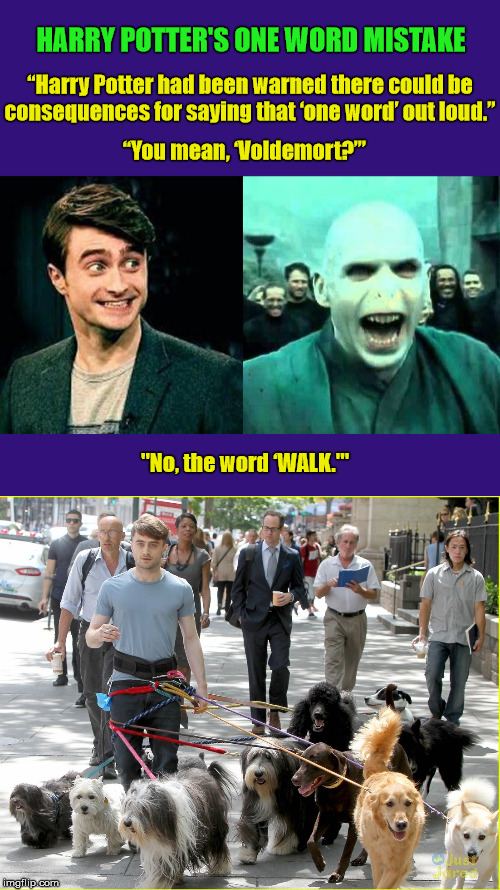 Harry Potter's One Word Mistake | image tagged in harry potter,daniel radcliffe,voldemort,walking the dogs,dogs,dog walking | made w/ Imgflip meme maker