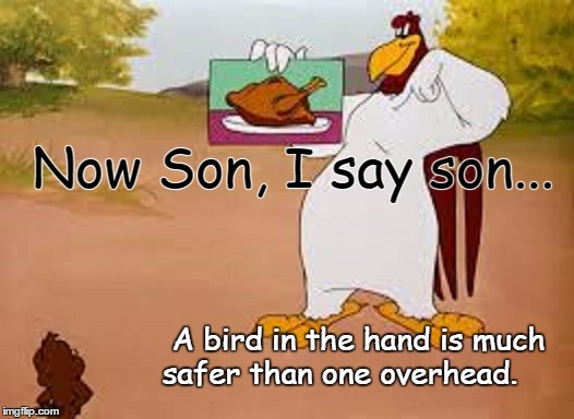Flying Foghorn Leghorn... | Now Son, I say son... A bird in the hand is much safer than one overhead. | image tagged in memes,funny,animals | made w/ Imgflip meme maker