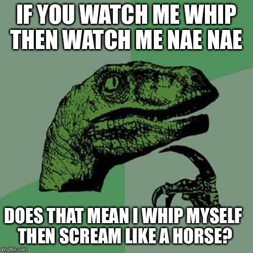 Philosoraptor Meme | IF YOU WATCH ME WHIP THEN WATCH ME NAE NAE; DOES THAT MEAN I WHIP MYSELF THEN SCREAM LIKE A HORSE? | image tagged in memes,philosoraptor | made w/ Imgflip meme maker