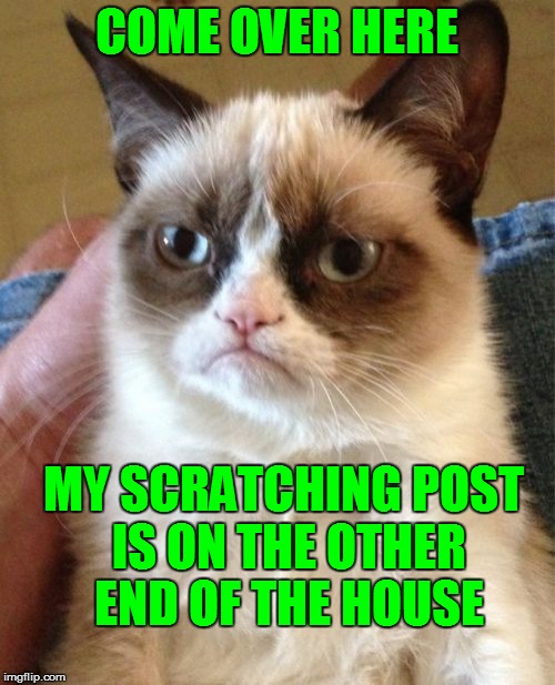 Grumpy Cat Meme | COME OVER HERE MY SCRATCHING POST IS ON THE OTHER END OF THE HOUSE | image tagged in memes,grumpy cat | made w/ Imgflip meme maker