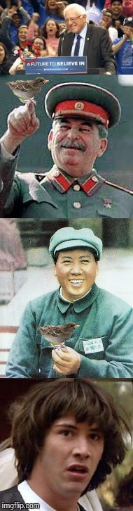 The truth about that bird, No captions needed... | . | image tagged in funny,bernie sanders,joseph stalin,mao zedong,communist,birds | made w/ Imgflip meme maker