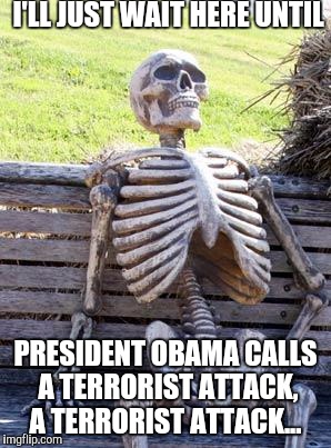 Wtfo  | I'LL JUST WAIT HERE UNTIL; PRESIDENT OBAMA CALLS A TERRORIST ATTACK, A TERRORIST ATTACK... | image tagged in memes,waiting skeleton,wtf,obama,terrorism | made w/ Imgflip meme maker