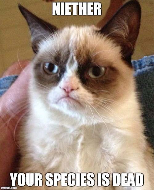 Grumpy Cat Meme | NIETHER YOUR SPECIES IS DEAD | image tagged in memes,grumpy cat | made w/ Imgflip meme maker