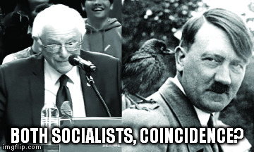 Both Socialists Coincidence | BOTH SOCIALISTS, COINCIDENCE? | image tagged in bernie hitler berniebirds socialists | made w/ Imgflip meme maker